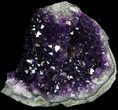 Dark Purple Amethyst Cut Base Cluster - Uruguay #36462-1